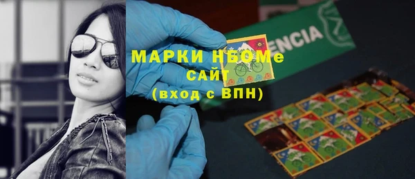 шишки Аркадак