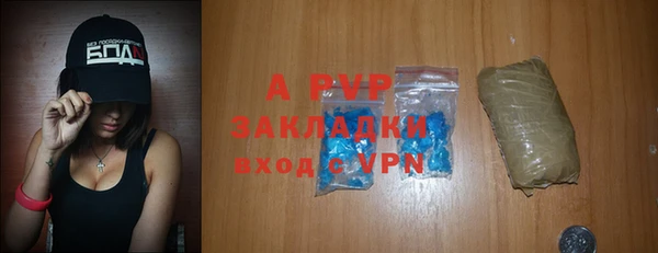 шишки Аркадак